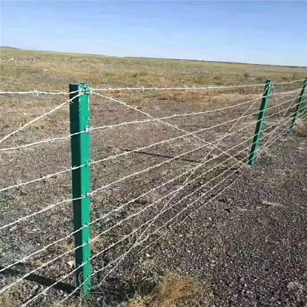镀锌铁蒺藜刺丝优盾金属网草场边界双股刺绳防护网