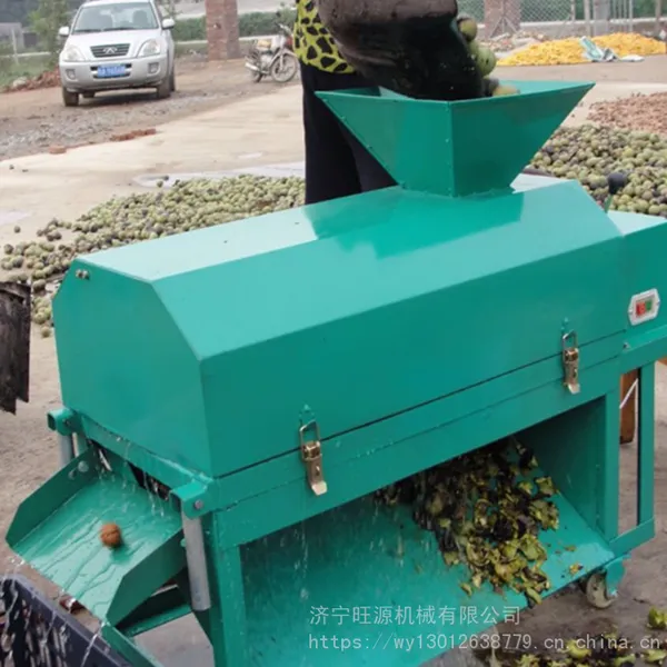 带水洗功能鲜核桃去皮机 青核桃去皮清洗机 多功能核桃剥壳机
