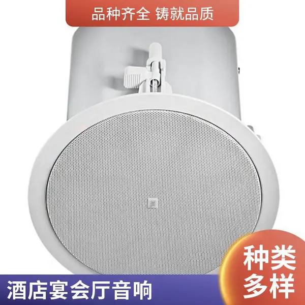 吸顶音响系统套装 培训教室多媒体 一体化解决方案 技术支持