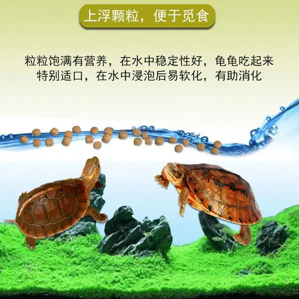 整条膨化龟饲料加工机械 找龟粮设备销售总代理