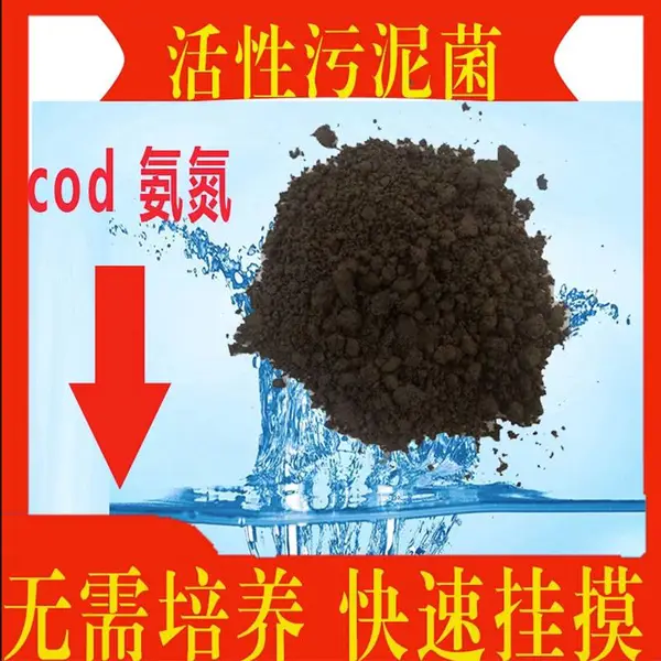 活性污泥菌生化池用泥污水处理好氧厌氧池微生物菌剂cod超标