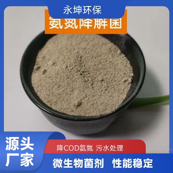 污水处理菌种生产厂家 氨氮降解菌COD去除率***
