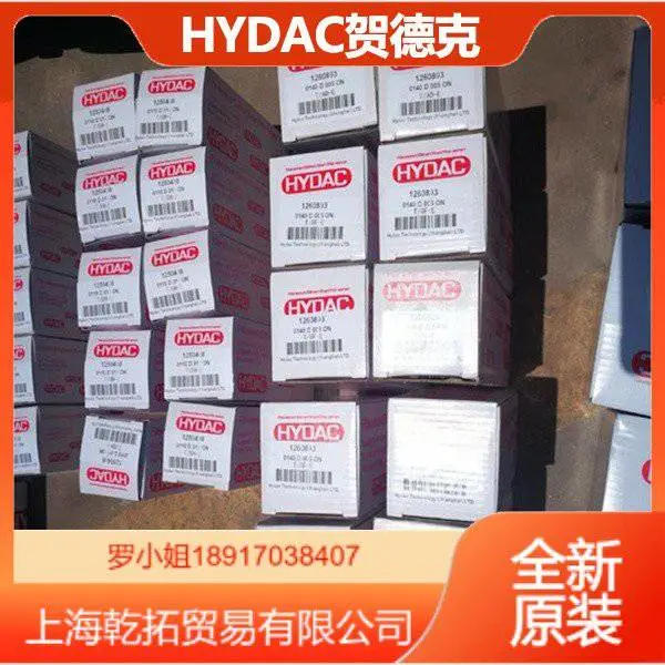 DFBH/HC110TC3A1.0�¹�HYDAC���巧����ϵͳ