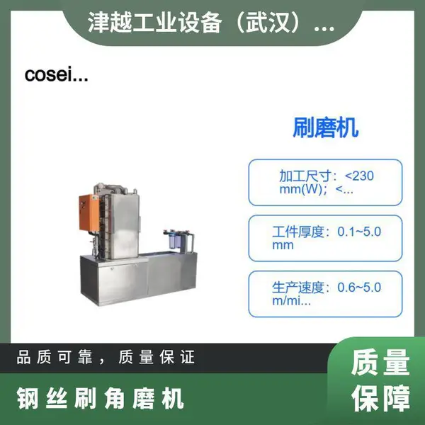 cosei-tech DSM-220刷磨机Auto Grinding machine樹脂塞孔整平研磨