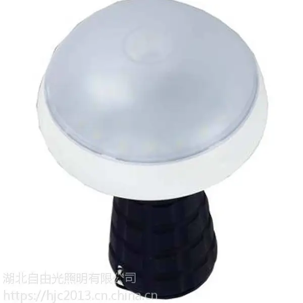 SW2170 ����С�ͷ����|�ֳ�����Ģ����