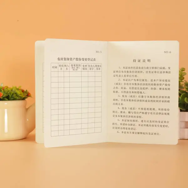 股权证明 签证股权证 个人股权证书 定做
