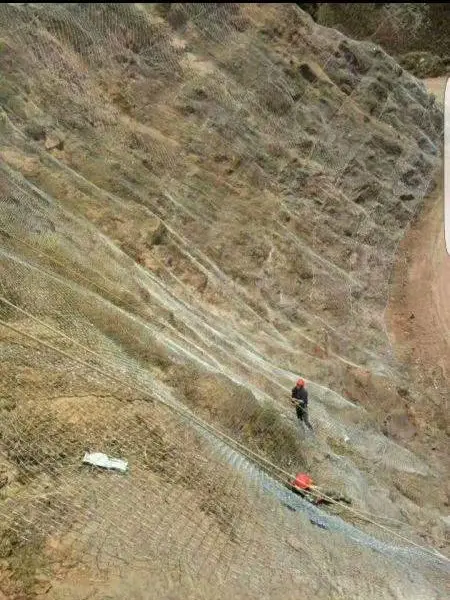 ���ܱ��·����� ���������� ����������ʵ�峧��