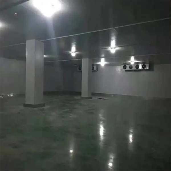 �ӱ������ƹ�˾ �ӱ������� ��ⰲװ��ά��