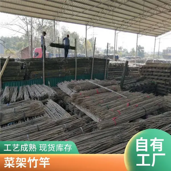 蔬菜爬藤竹竿 2米加粗支撑杆 豆角架竹竿 黄瓜爬藤架 菜园专用