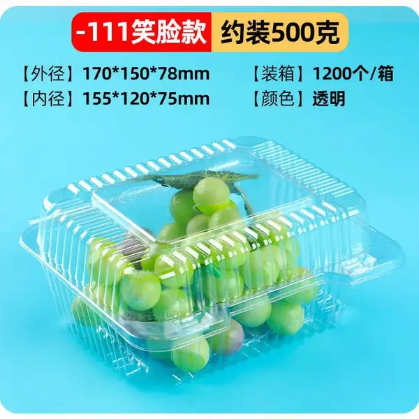 一次性透明塑料水果盒鲜果蔬菜番茄打包包装盒