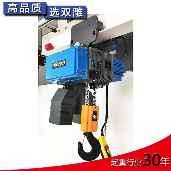 ��ʽ�綯��« ��Ƶ˫�� 125����250���� �������غ�«������ŷʽ