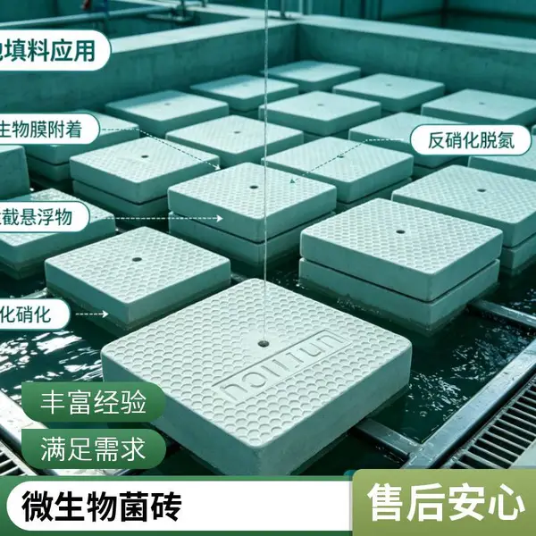 微生物方块菌 好氧反硝化脱氮菌块 含高效菌种 废水脱氮 定制