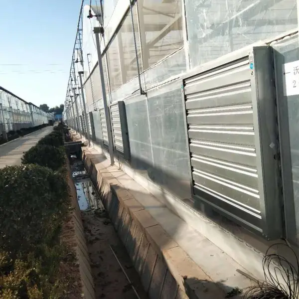 ��ֲ����ר�÷��ˮ����������