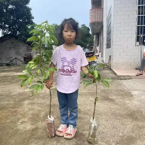 �㶫��������������֦�޽�������º�������������Ե��Ա���