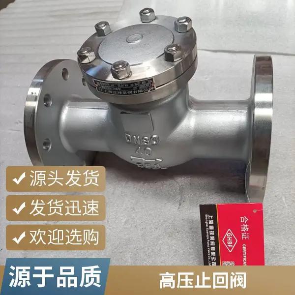 水泵出口止回阀 H44W-25P DN250 防倒流法兰旋启式止回阀