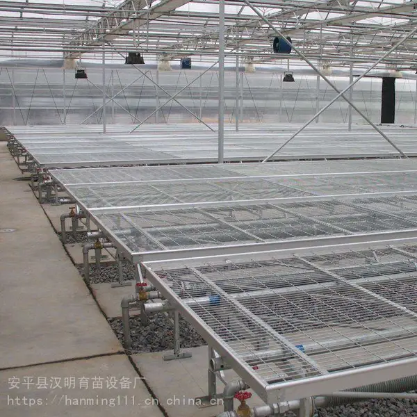 定制苗床网 温室蔬菜育苗床厂家 四川朝天椒育苗床