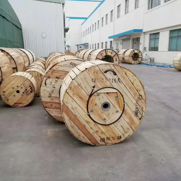 �����ն����չ��¸ֽ���ľ��˹�о�ܻ�������ʮ��