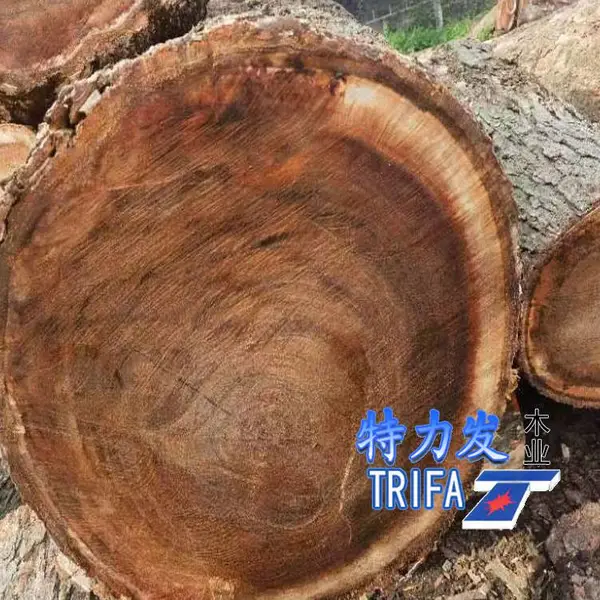 供应印尼雨树地板坯料