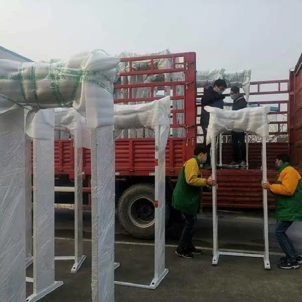 测温型通过式金属安检门体温筛查仪 红外测温仪智能体温检测系统