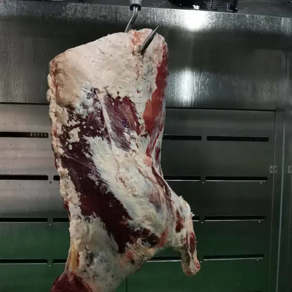 立式速冻柜 肉制品低温速冻设备 果蔬冷藏库水产海鲜解冻设备