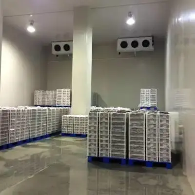 什么是冷库?安装一个冷库的造价是多少?