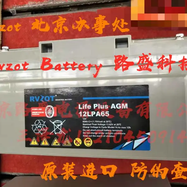 Rvzot蓄电池 法国路盛蓄电池12LPA65授权价格