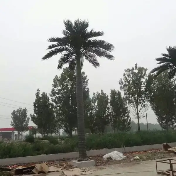 ɽ������Ҭ��������������콾����԰�ּӹ�������Ч������