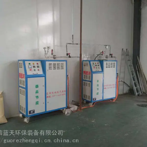 袜子定型立式电蒸汽发生器/纺织品快装定型用电磁蒸汽锅炉