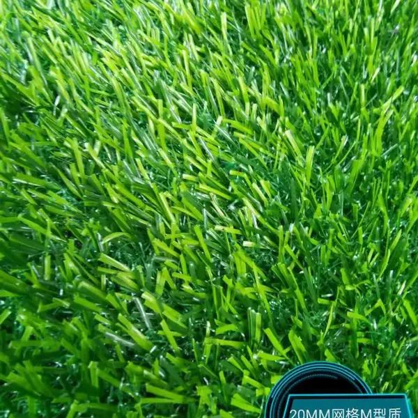 ��������ٲ�ƺ��ֲ���ϲ�Ƥ�����׶�԰ѧУ�˹������̻����ʵص�