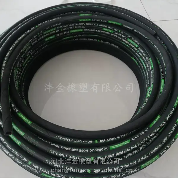 DN10-2SN-55Mpa��ѹ�͹� ���÷�����ƹ����͹� ���ڶ��ֻ�е�豸