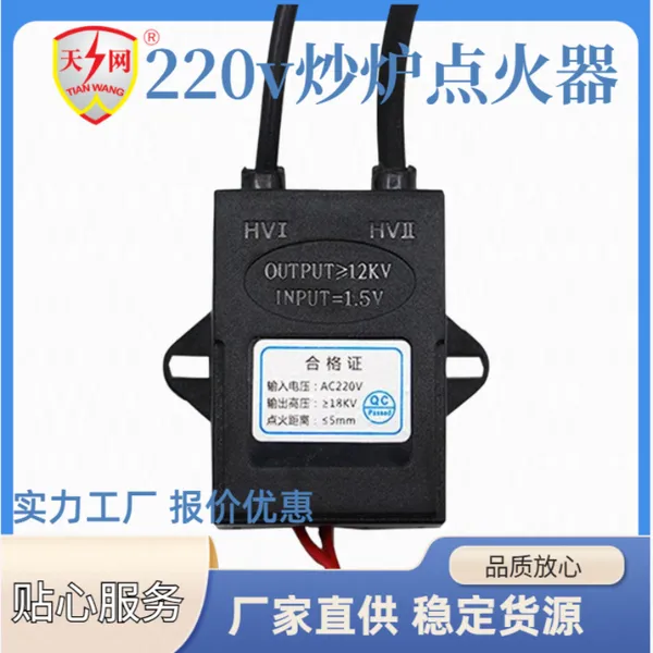 220V高压脉冲发生器 工业级炒炉点火模块 支持定制