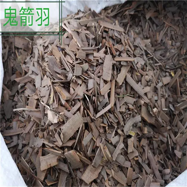 供应卫矛,鬼箭羽,鬼箭、六月凌、四面锋、蓖箕柴。