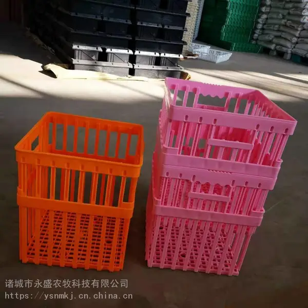 供应塑料种蛋箱 种蛋运输箱 塑料种蛋筐 加高种蛋箱
