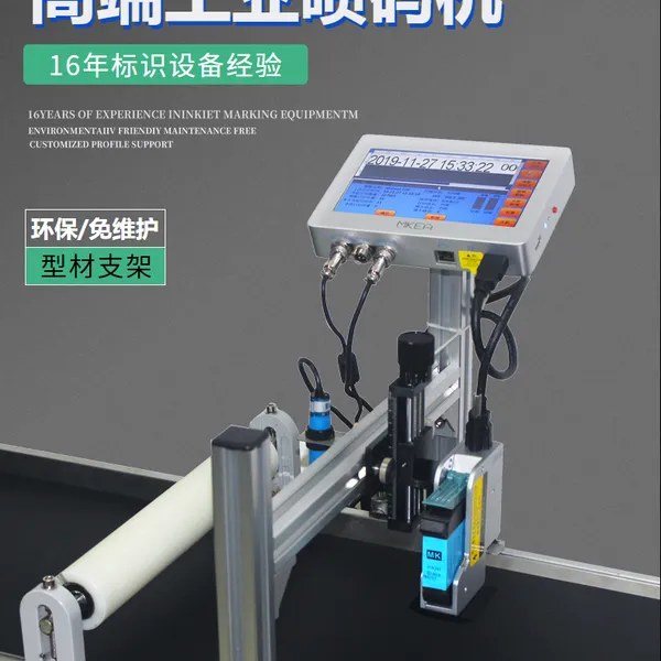 供应 各种纸箱 牛皮纸包装袋 LOGO日期喷码机 在线式 全自动