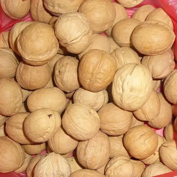 ���������ӹ���185ֽƤ����ɹ���ʳ�ز� ���̼� ��ó����