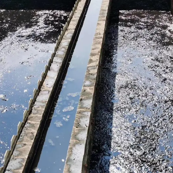 微生物污水处理剂工厂城市污水厂化粪池养殖场除臭剂活性污泥菌种