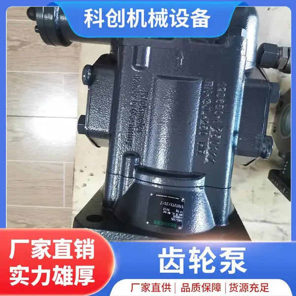 Rickmeier齿轮泵R5系列R65/315 FL-Z-R-SO瑞克梅尔泵用于液压和润滑