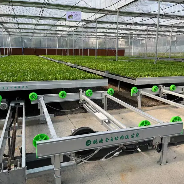 全自动化物流苗床,按需定制自动化育苗