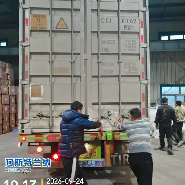 国际物流全球进出口运输俄罗斯专线海运 陆运 空运 包税双清到门