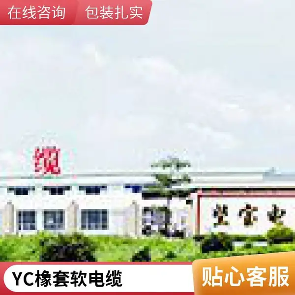 广东现货直销云超电缆 交联聚乙烯绝缘电力电缆 0.6/1KV 三相四线