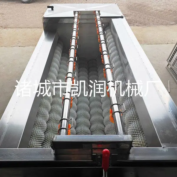 A大型毛辊清洗机 水果清洗机 蔬菜清洗机价格优惠