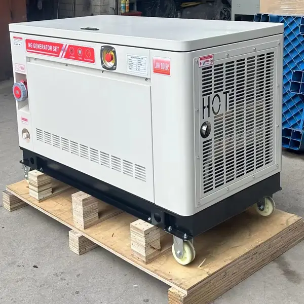 ����˹24KW������Ȼ��������� ��������Ȼ������� ���ȱ��ȼ�������