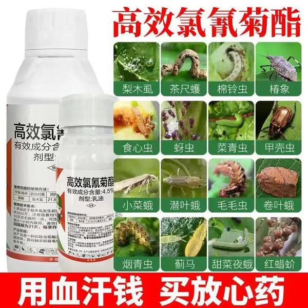 4.5%高效氯氰菊酯 乳油 中科化工 原厂原证