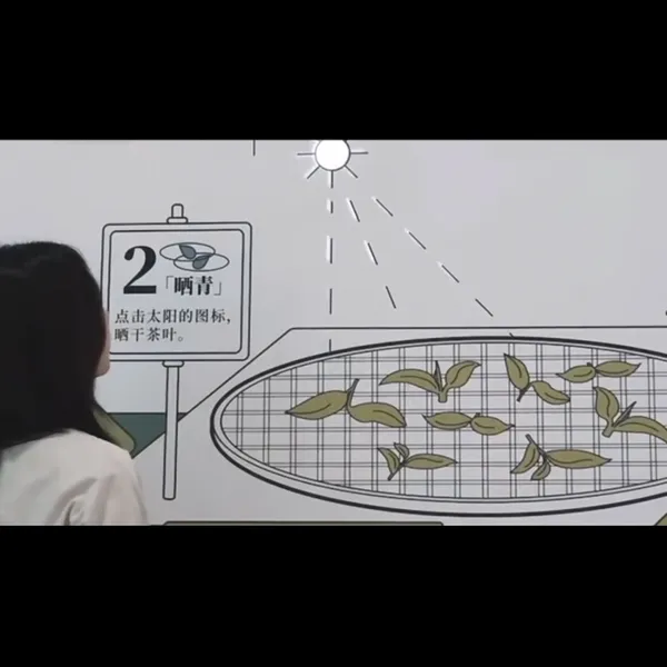 霍格沃兹魔法墙 神奇的魔法墙 创意互动设备定制