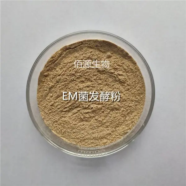 200亿EM菌粉 畜禽水产养殖微生物菌剂 发酵扩培EM菌液用原菌种