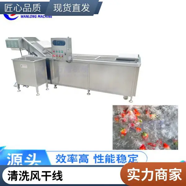 猪脚排骨粒单槽洗肉机 多功能涡流清洗机 大型洗菜机厂家 脱水蔬菜预处理线 食材前处理清洗风干一体化设备