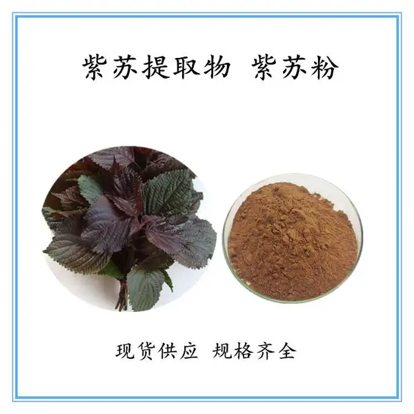 沃特莱斯供应 紫苏提取物10:1 现货规格20:1 高比例萃取 可按需定制