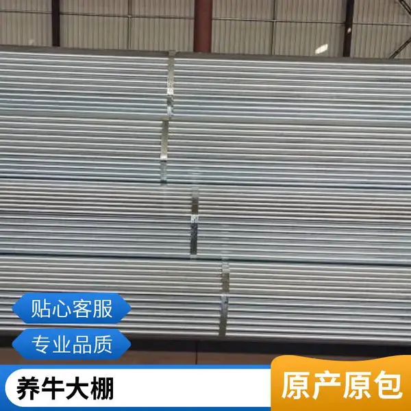 温室大棚制造 牛头牌热镀锌钢管 蔬菜大棚骨架 飞龙