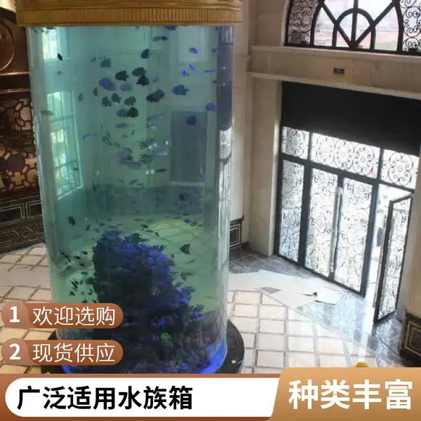 秦海水景 海洋馆设计工程 亚克力大型鱼缸 全国都可定制 视觉效果佳