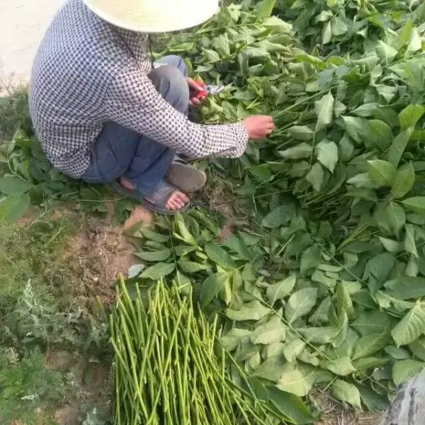 �������������������